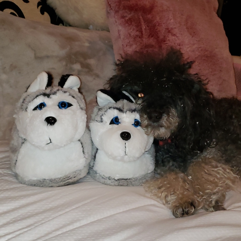 Husky slippers